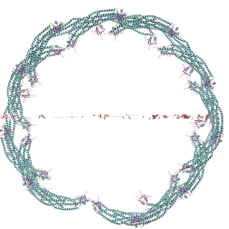 A large protein structure